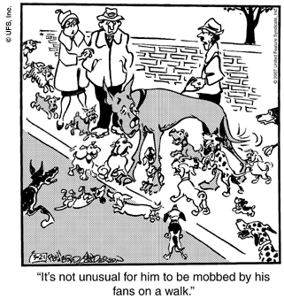 marmaduke